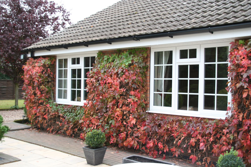 fascias and upvc windows of a home